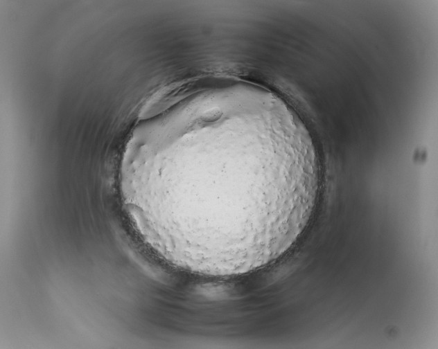 X0000112830065200909111409