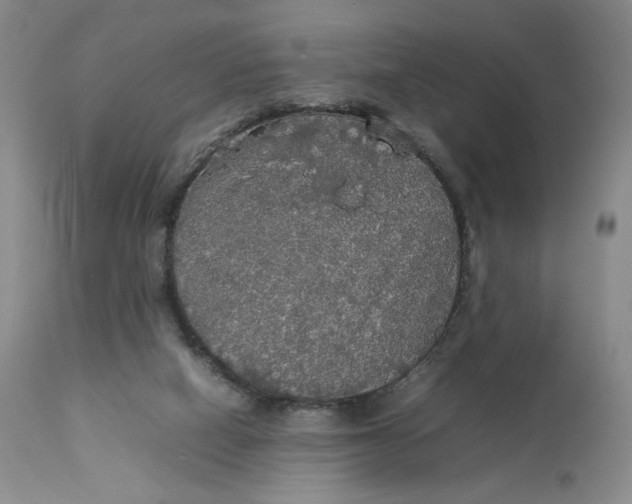 X0000112830066200909111409