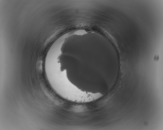 X0000112830067200909111409