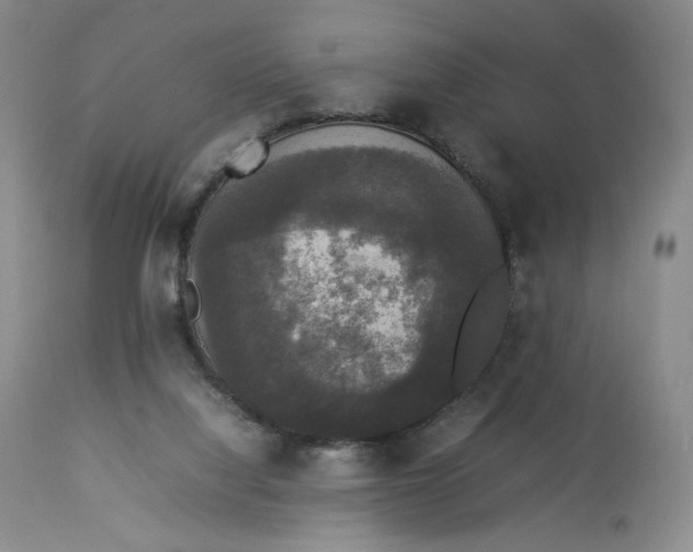 X0000112830068200909111409