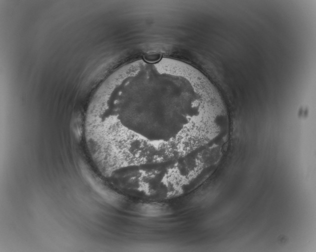 X0000112830069200909111409