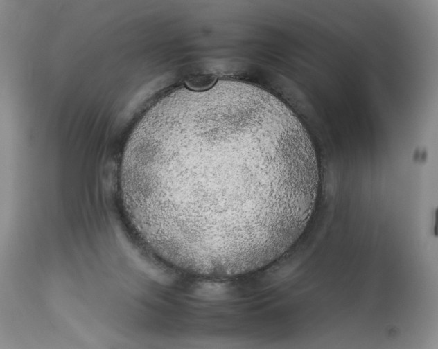 X0000112830071200909111409