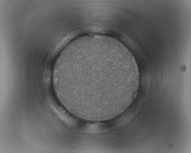 X0000112830072200909111409