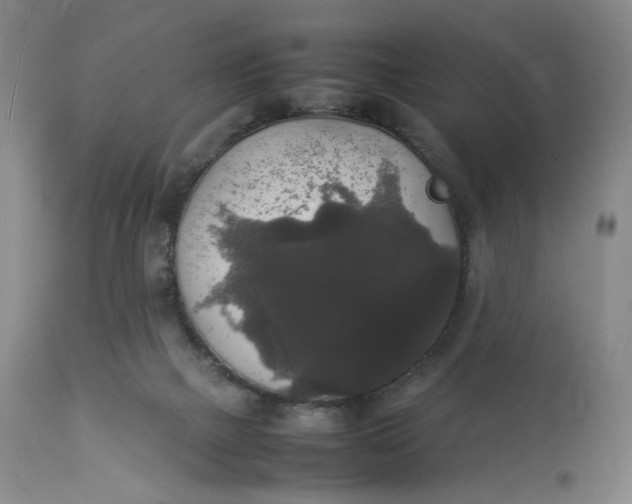 X0000112830073200909111409