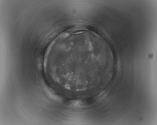 X0000112830074200909111409