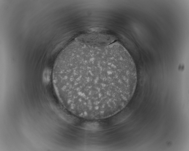 X0000112830075200909111409