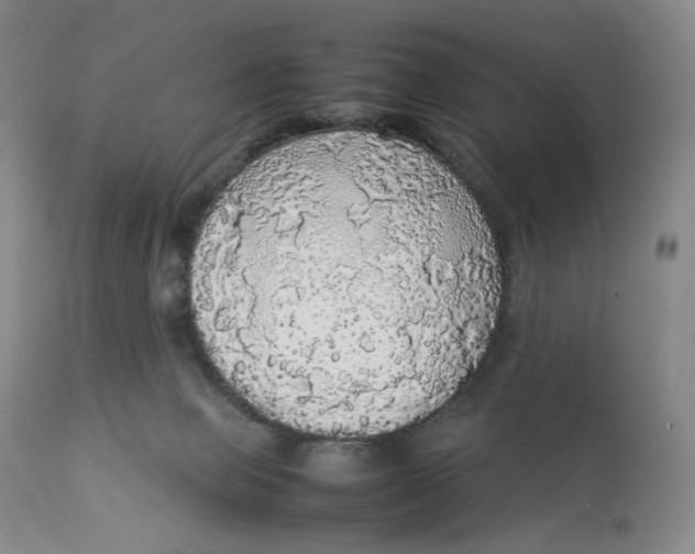 X0000112830077200909111409