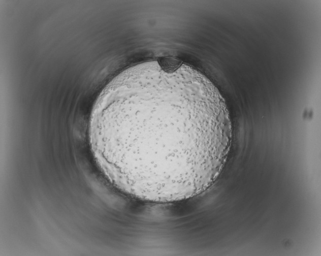 X0000112830078200909111409