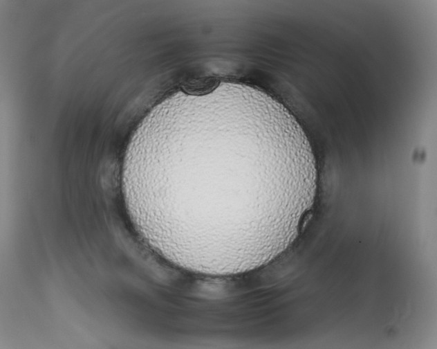 X0000112830079200909111409