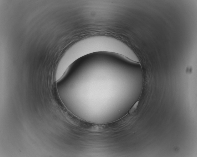 X0000112830080200909111409