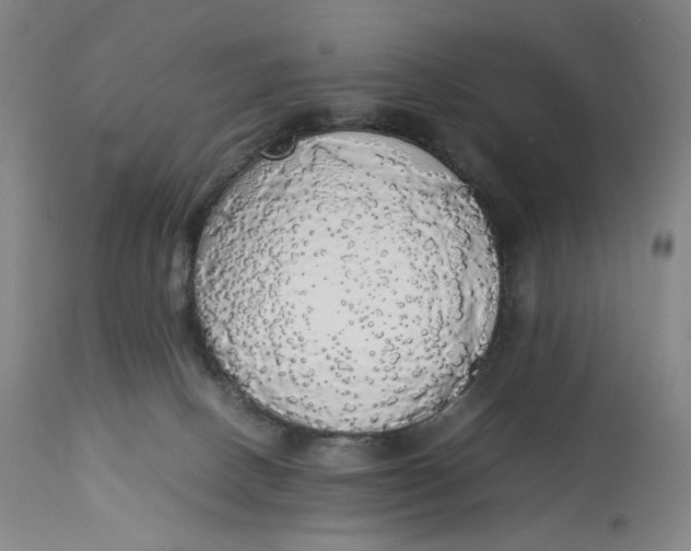 X0000112830082200909111409