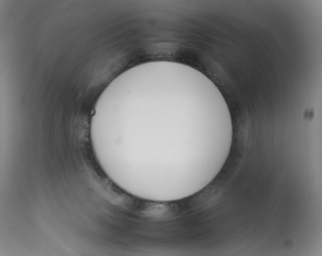 X0000112830083200909111409