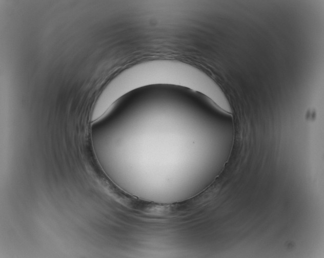 X0000112830084200909111409