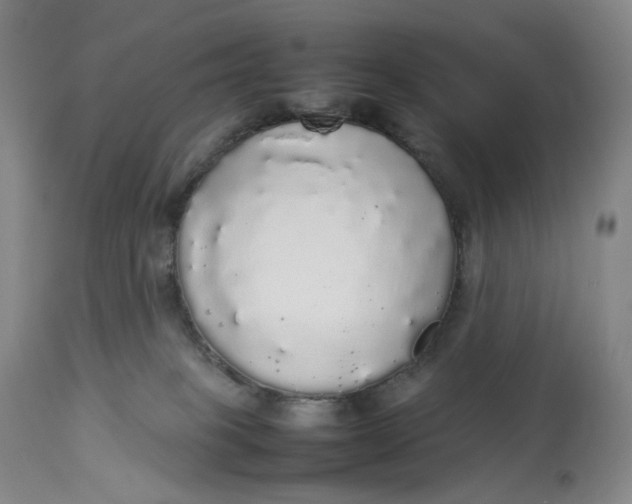 X0000112830085200909111409