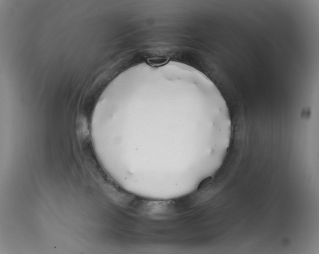 X0000112830089200909111409