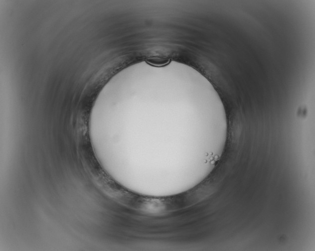 X0000112830091200909111409