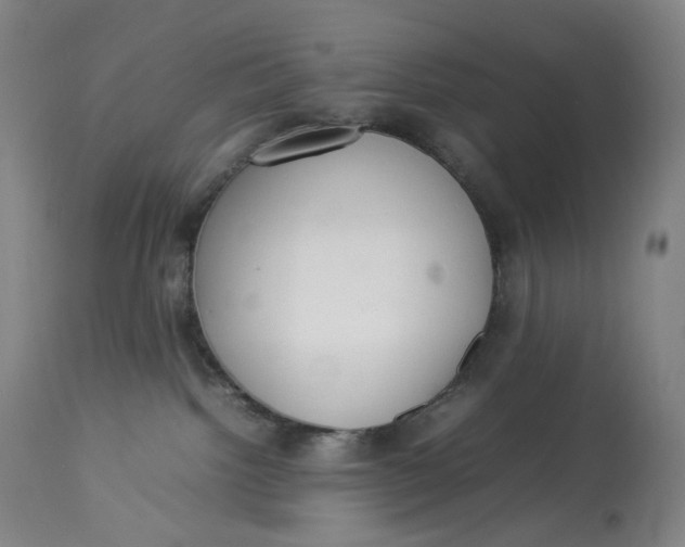 X0000112830092200909111409