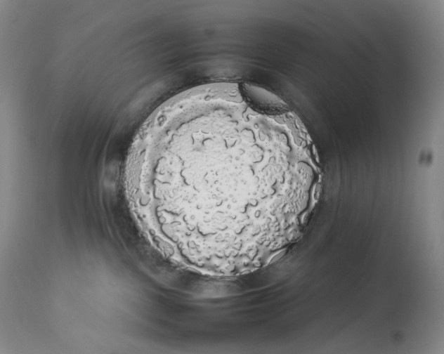 X0000112830093200909111409