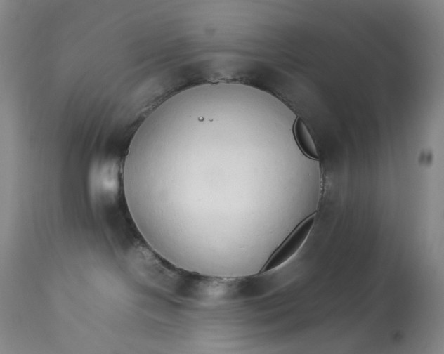 X0000112830094200909111409