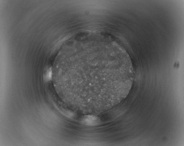 X0000112830095200909111409