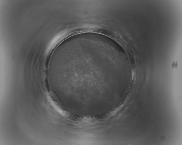 X0000112830101200909111408