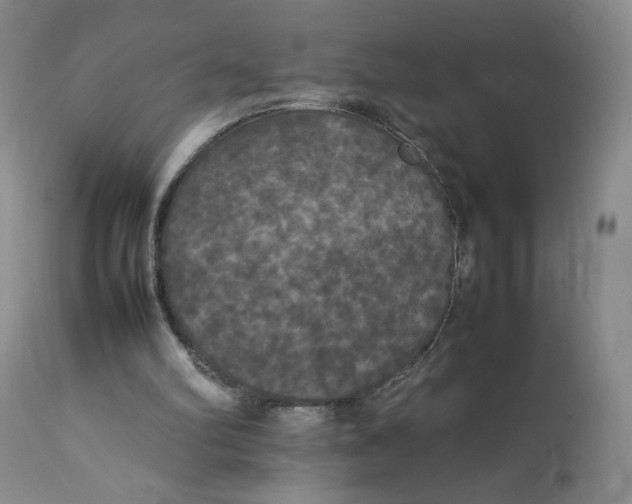 X0000112830102200909111408