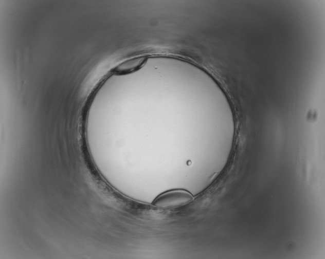 X0000112830103200909111408