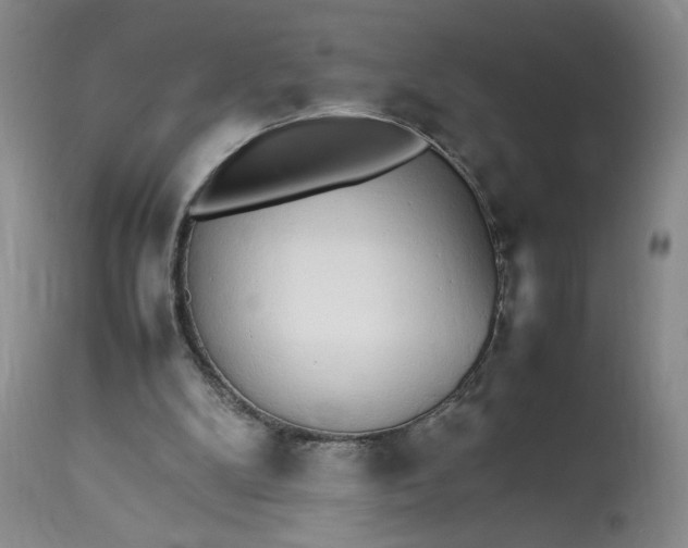 X0000112830104200909111408