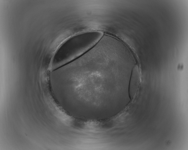 X0000112830105200909111408