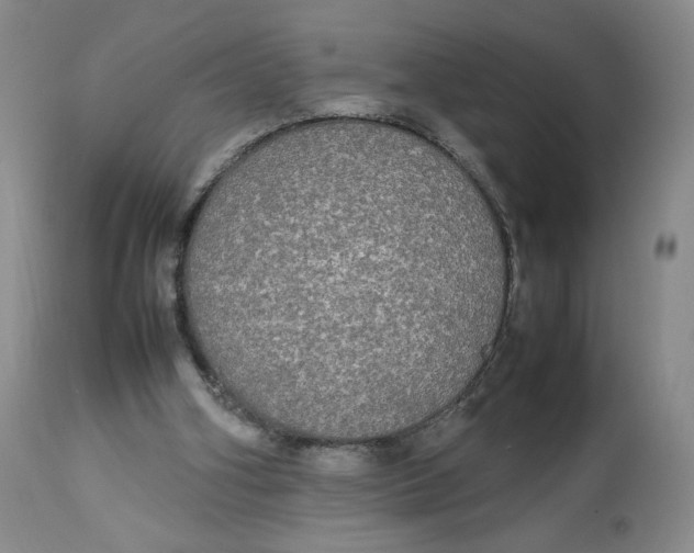 X0000112830106200909111408