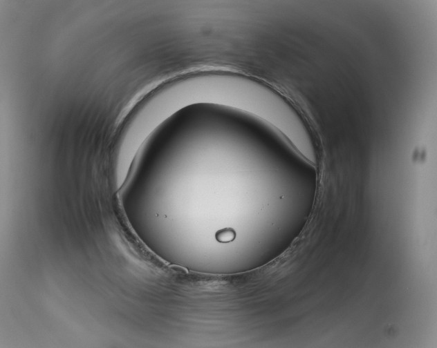 X0000112830108200909111408