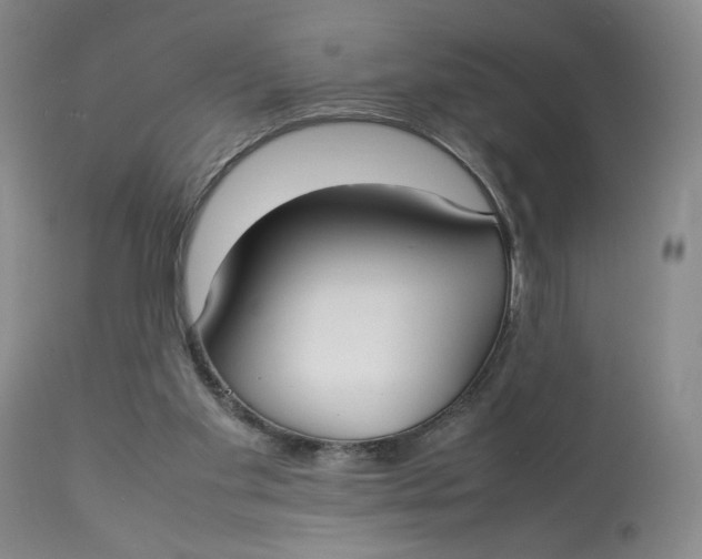 X0000112830109200909111408