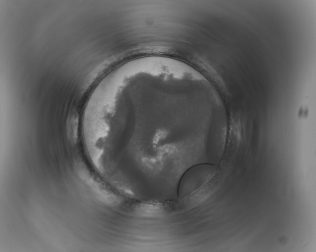 X0000112830110200909111408