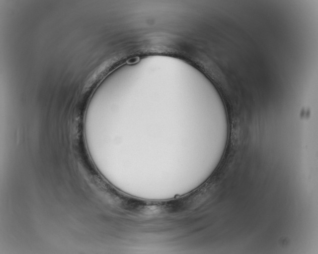 X0000112830111200909111408