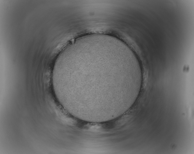 X0000112830113200909111408