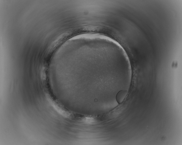 X0000112830114200909111408