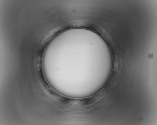 X0000112830115200909111408