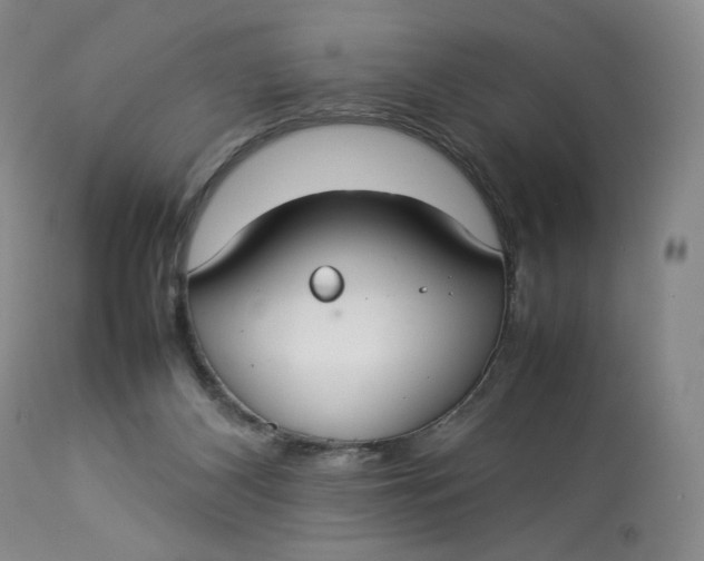 X0000112830116200909111408