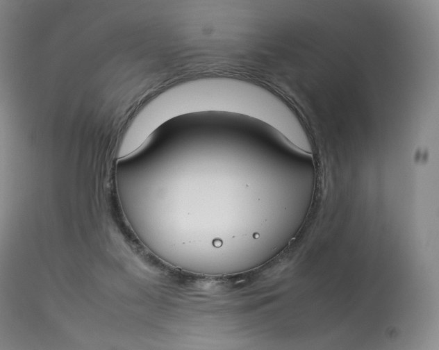 X0000112830117200909111408