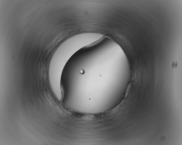 X0000112830124200909111408