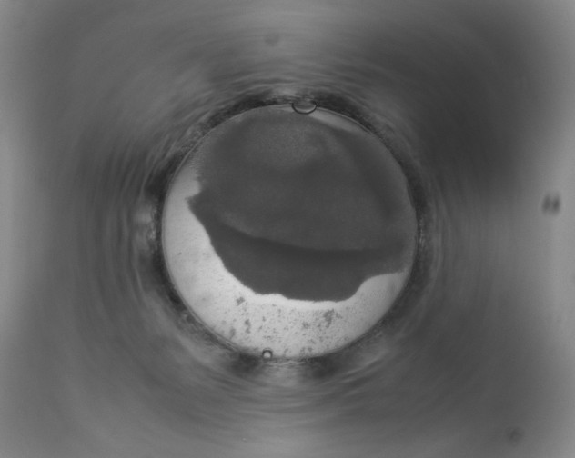 X0000112830127200909111408