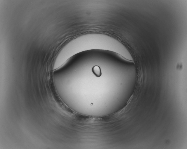 X0000112830128200909111408