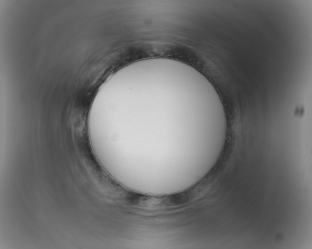 X0000112830129200909111408