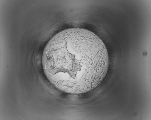 X0000112830131200909111408