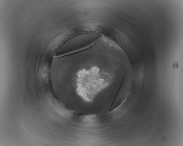 X0000112830132200909111408