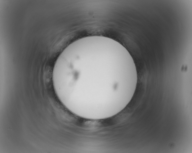 X0000112830133200909111408