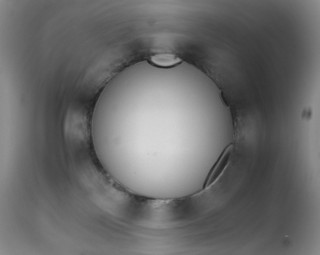 X0000112830136200909111408