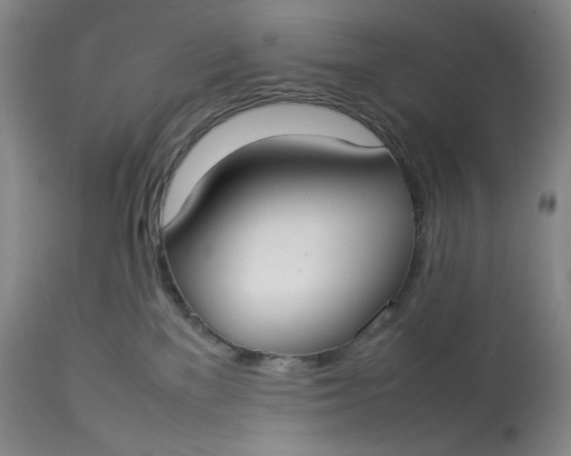 X0000112830137200909111408