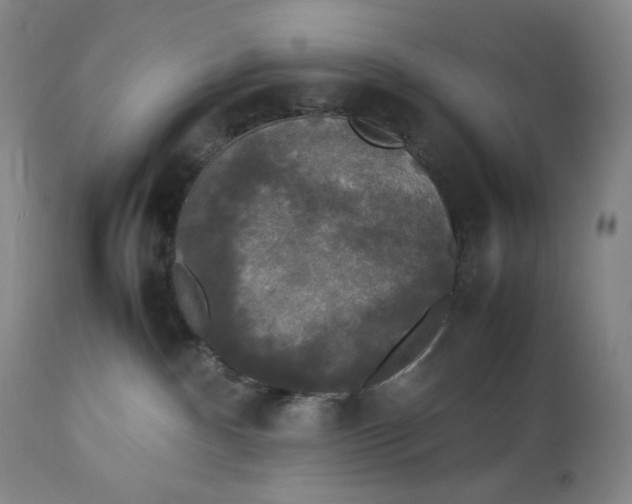 X0000112830140200909111408