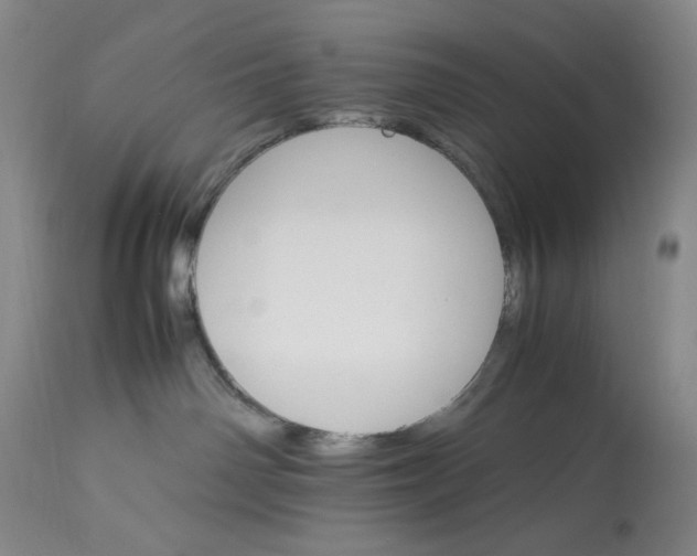 X0000112830142200909111408